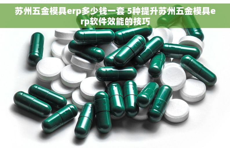 苏州五金模具erp多少钱一套 5种提升苏州五金模具erp软件效能的技巧