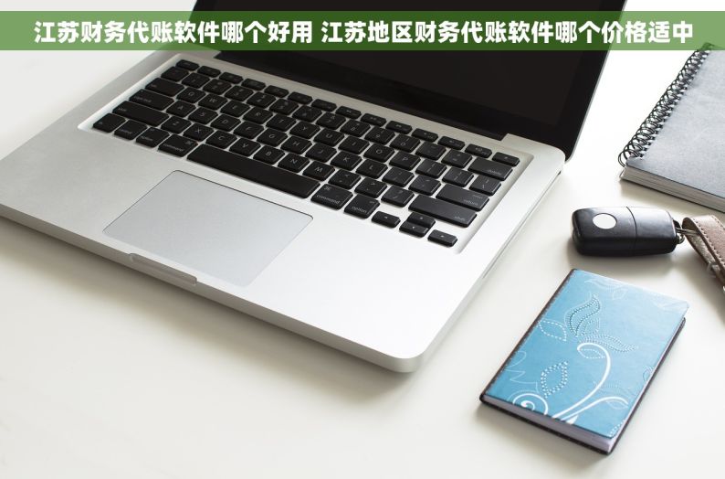 江苏财务代账软件哪个好用 江苏地区财务代账软件哪个价格适中