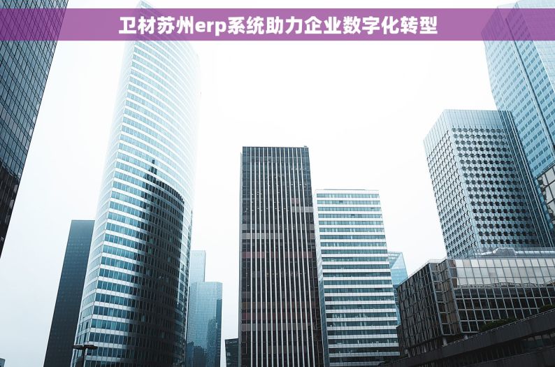 卫材苏州erp系统助力企业数字化转型
