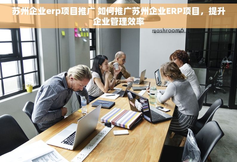 苏州企业erp项目推广 如何推广苏州企业ERP项目，提升企业管理效率