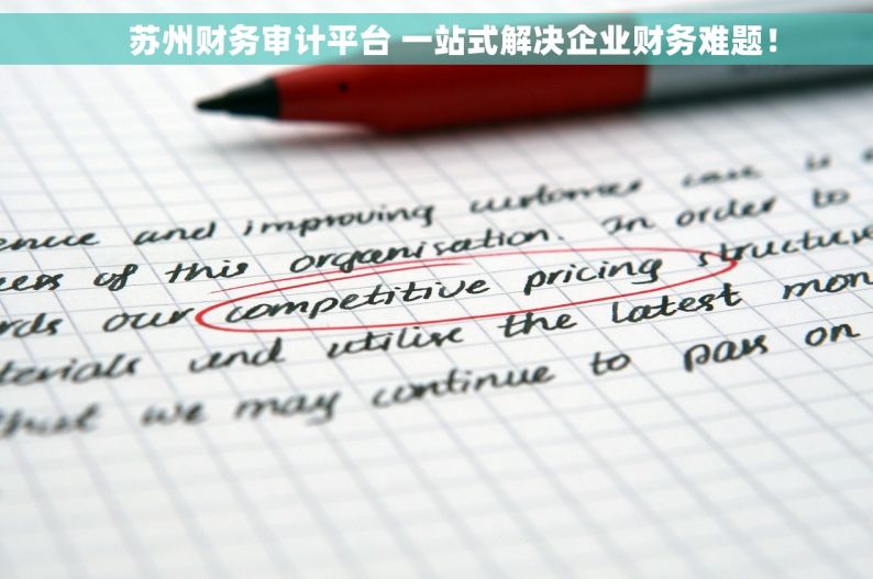     苏州财务审计平台 一站式解决企业财务难题！