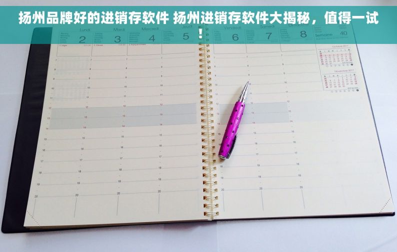扬州品牌好的进销存软件 扬州进销存软件大揭秘，值得一试！