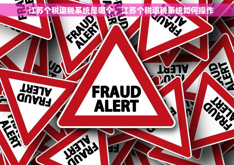     江苏个税退税系统是哪个，江苏个税退税系统如何操作