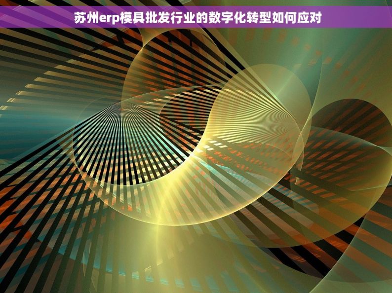  苏州erp模具批发行业的数字化转型如何应对