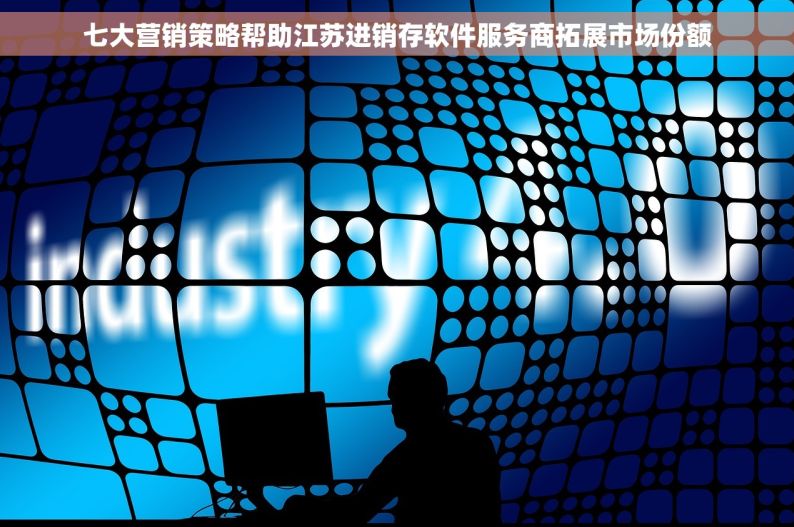 七大营销策略帮助江苏进销存软件服务商拓展市场份额
