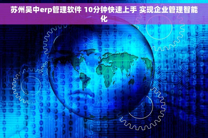 苏州吴中erp管理软件 10分钟快速上手 实现企业管理智能化