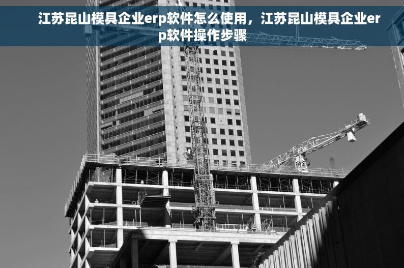     江苏昆山模具企业erp软件怎么使用，江苏昆山模具企业erp软件操作步骤
