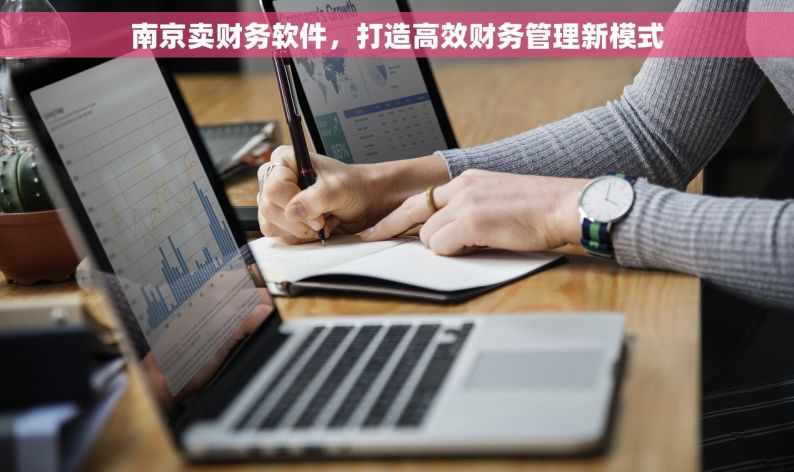 南京卖财务软件，打造高效财务管理新模式