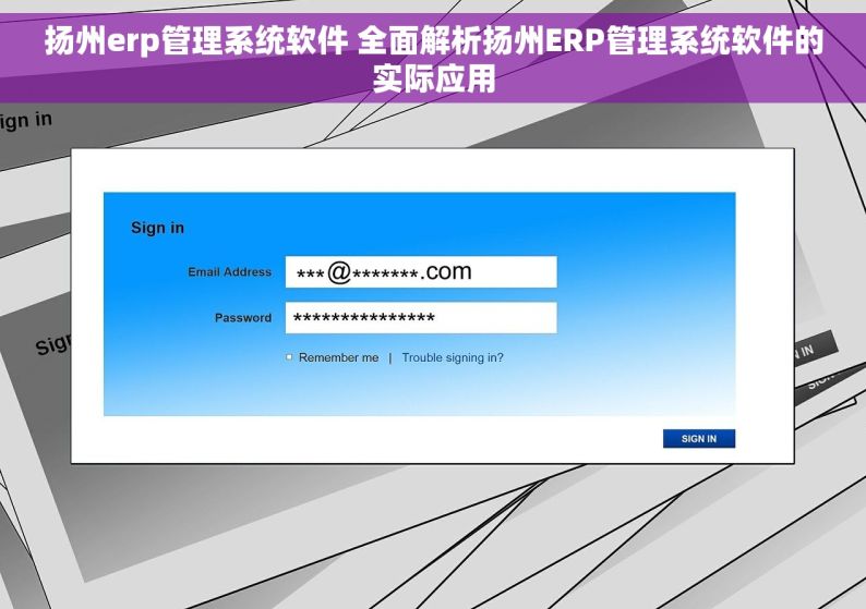扬州erp管理系统软件 全面解析扬州ERP管理系统软件的实际应用