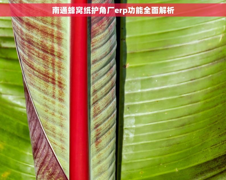 南通蜂窝纸护角厂erp功能全面解析