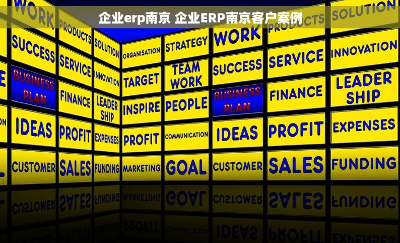 企业erp南京 企业ERP南京客户案例