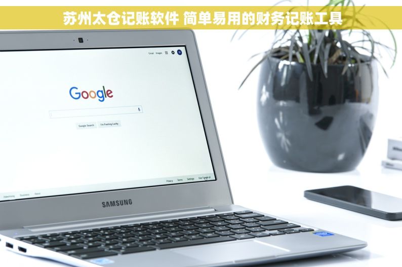  苏州太仓记账软件 简单易用的财务记账工具