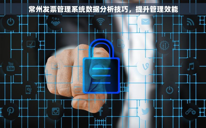 常州发票管理系统数据分析技巧，提升管理效能