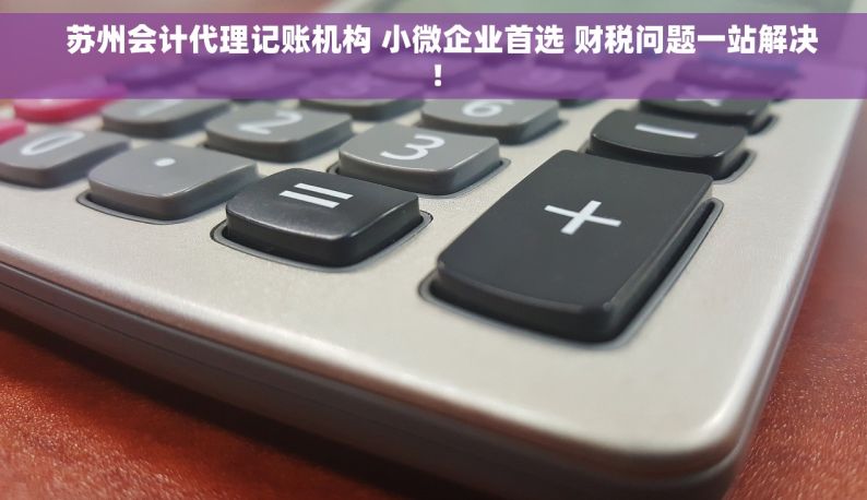   苏州会计代理记账机构 小微企业首选 财税问题一站解决！
