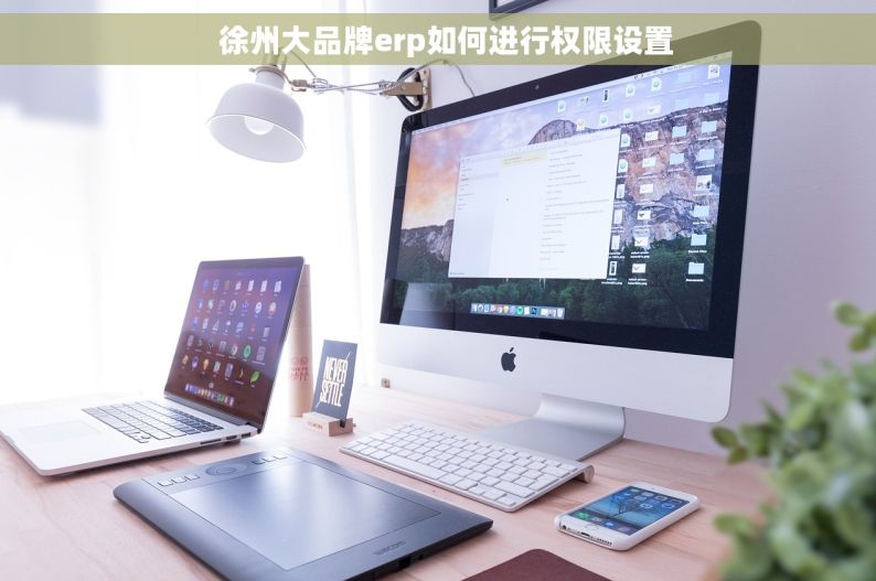   徐州大品牌erp如何进行权限设置