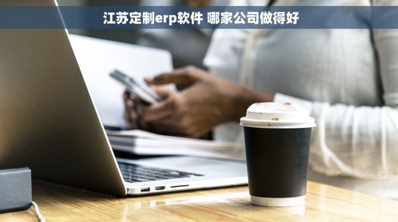  江苏定制erp软件 哪家公司做得好
