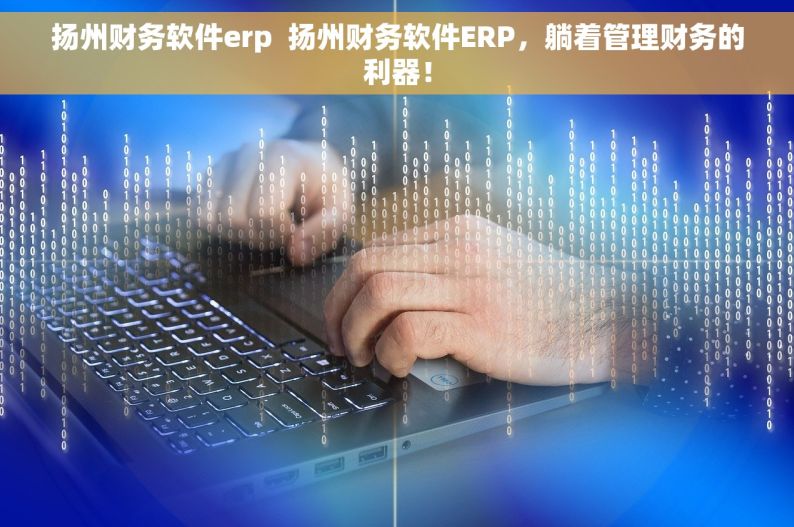 扬州财务软件erp  扬州财务软件ERP，躺着管理财务的利器！