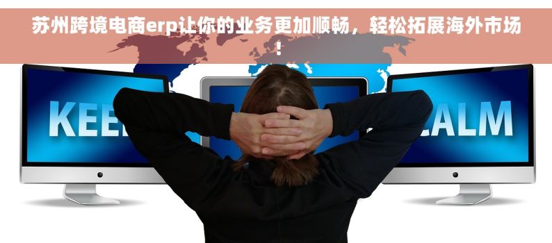 苏州跨境电商erp让你的业务更加顺畅，轻松拓展海外市场！