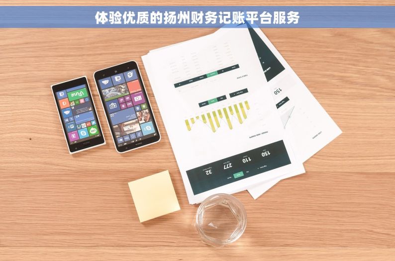 体验优质的扬州财务记账平台服务