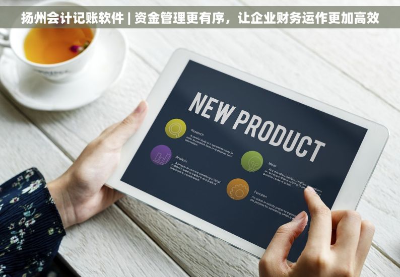 扬州会计记账软件 | 资金管理更有序，让企业财务运作更加高效