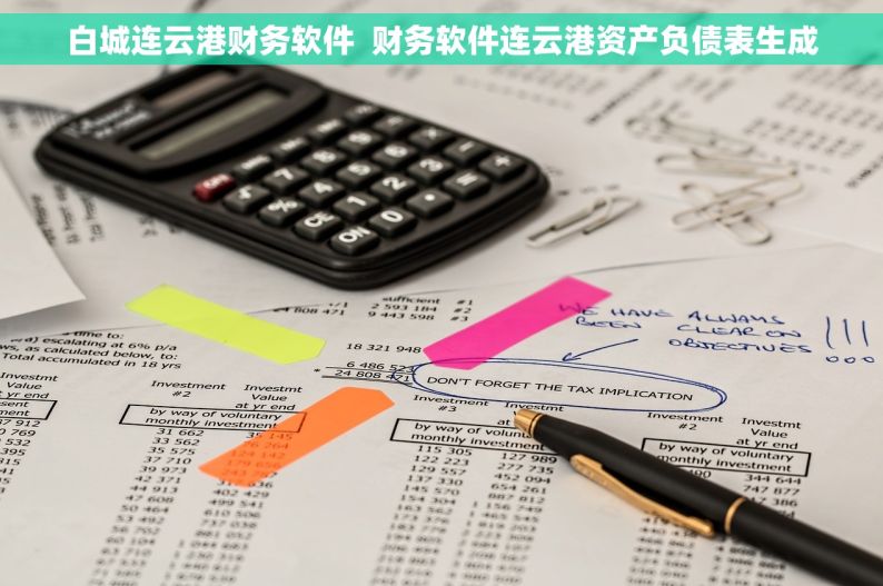 白城连云港财务软件  财务软件连云港资产负债表生成