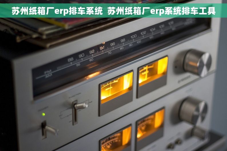 苏州纸箱厂erp排车系统  苏州纸箱厂erp系统排车工具