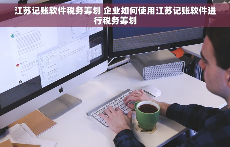 江苏记账软件税务筹划 企业如何使用江苏记账软件进行税务筹划