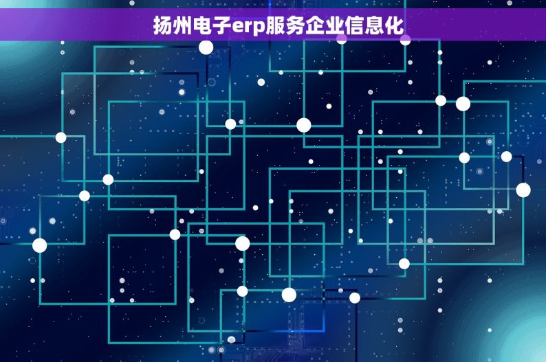   扬州电子erp服务企业信息化
