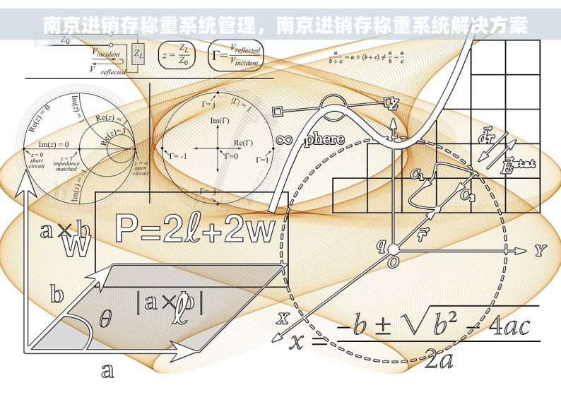   南京进销存称重系统管理，南京进销存称重系统解决方案