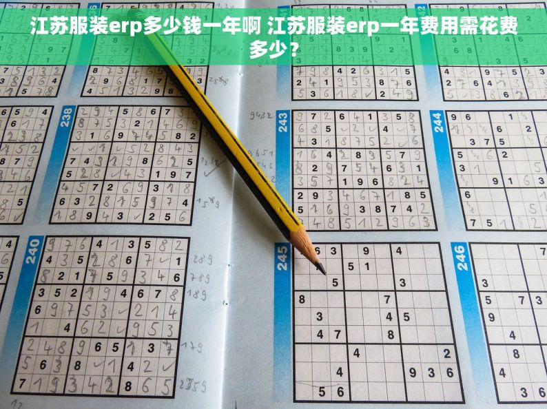 江苏服装erp多少钱一年啊 江苏服装erp一年费用需花费多少？