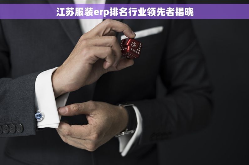江苏服装erp排名行业领先者揭晓