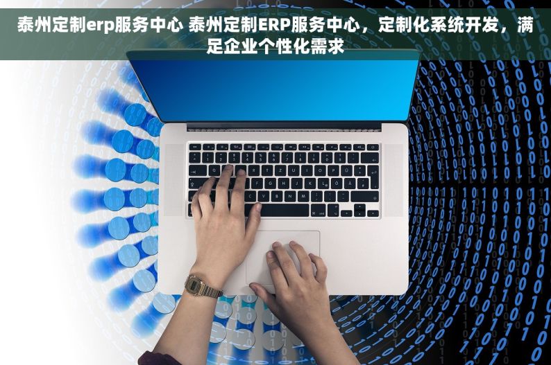 泰州定制erp服务中心 泰州定制ERP服务中心，定制化系统开发，满足企业个性化需求