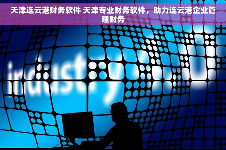 天津连云港财务软件 天津专业财务软件，助力连云港企业管理财务