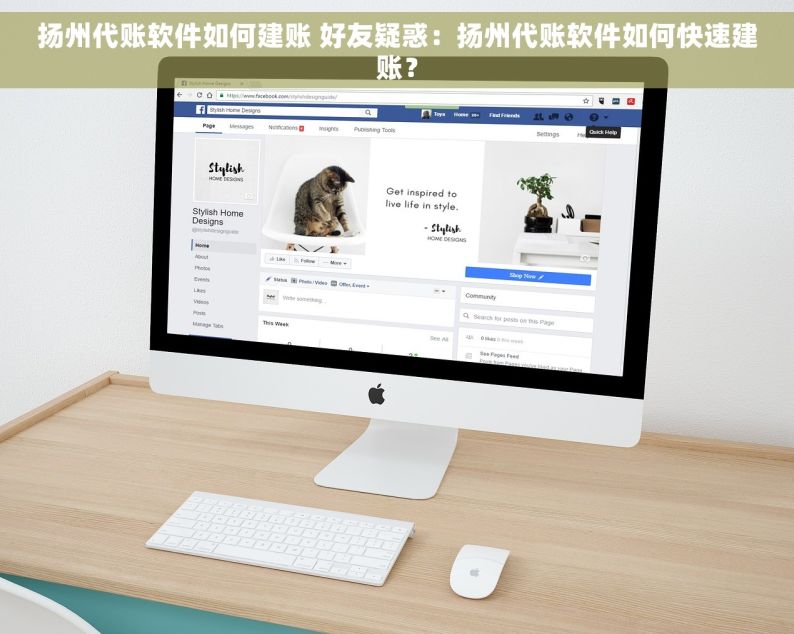 扬州代账软件如何建账 好友疑惑：扬州代账软件如何快速建账？