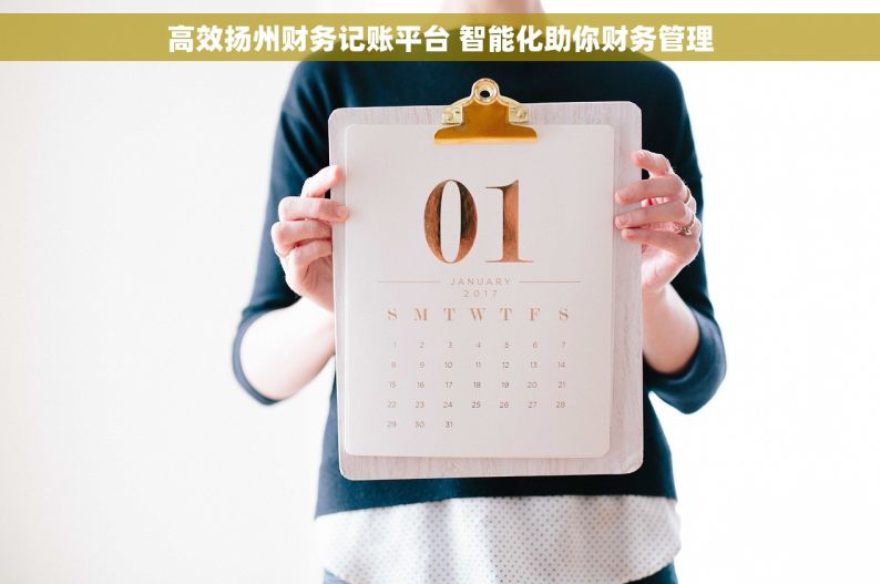 高效扬州财务记账平台 智能化助你财务管理