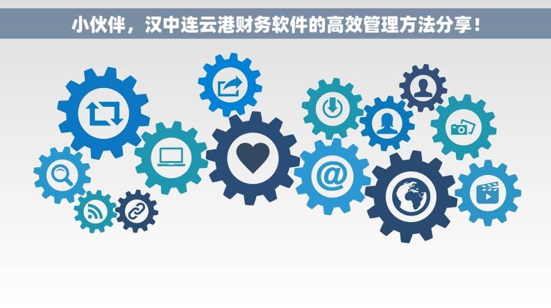 小伙伴，汉中连云港财务软件的高效管理方法分享！