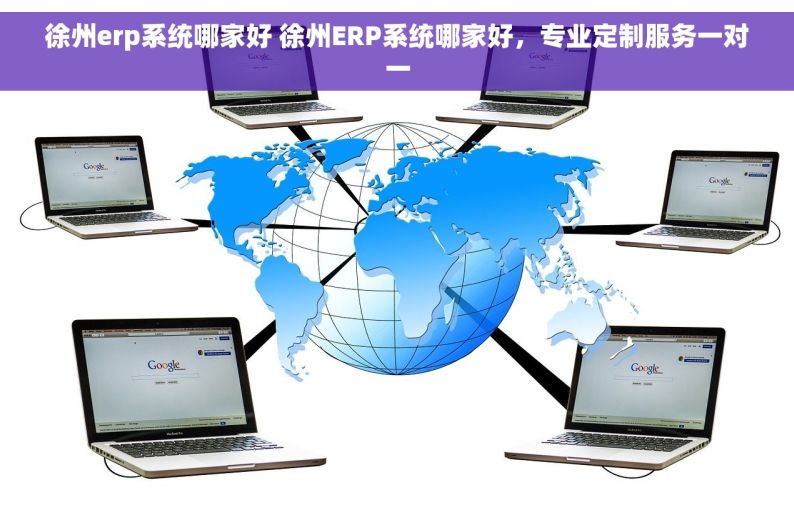 徐州erp系统哪家好 徐州ERP系统哪家好，专业定制服务一对一