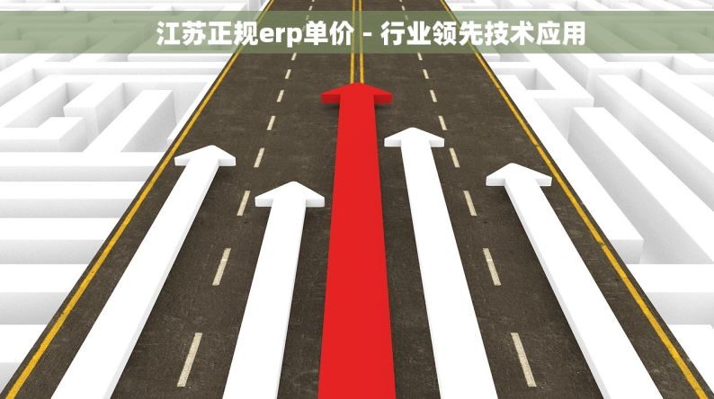     江苏正规erp单价 - 行业领先技术应用