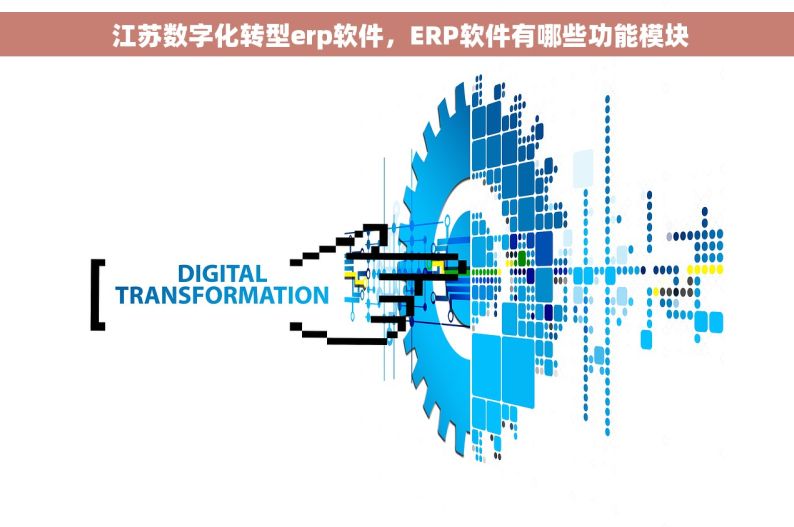  江苏数字化转型erp软件，ERP软件有哪些功能模块