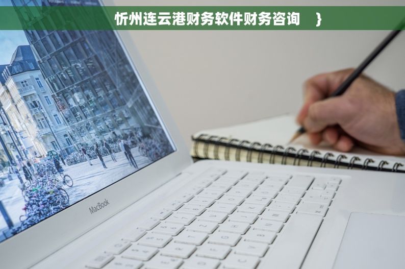        忻州连云港财务软件财务咨询    }
