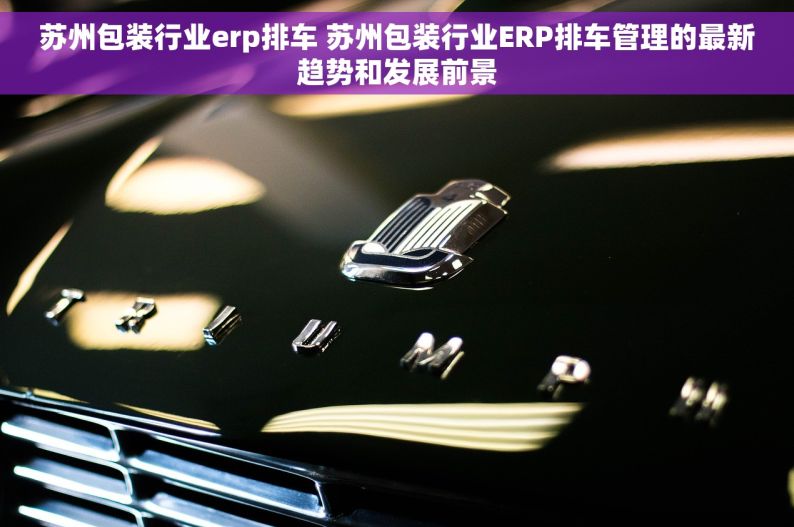 苏州包装行业erp排车 苏州包装行业ERP排车管理的最新趋势和发展前景
