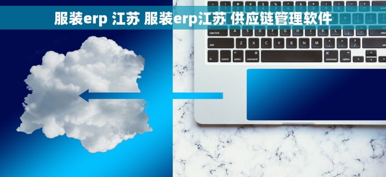 服装erp 江苏 服装erp江苏 供应链管理软件