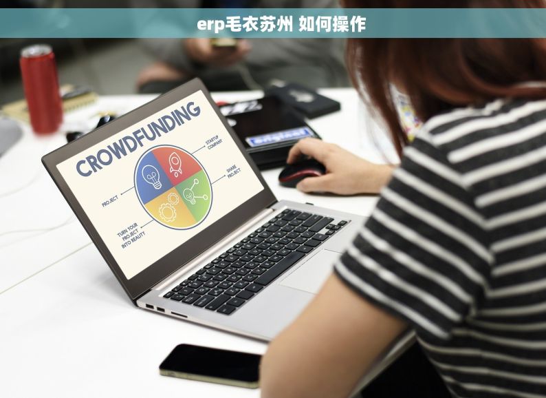     erp毛衣苏州 如何操作