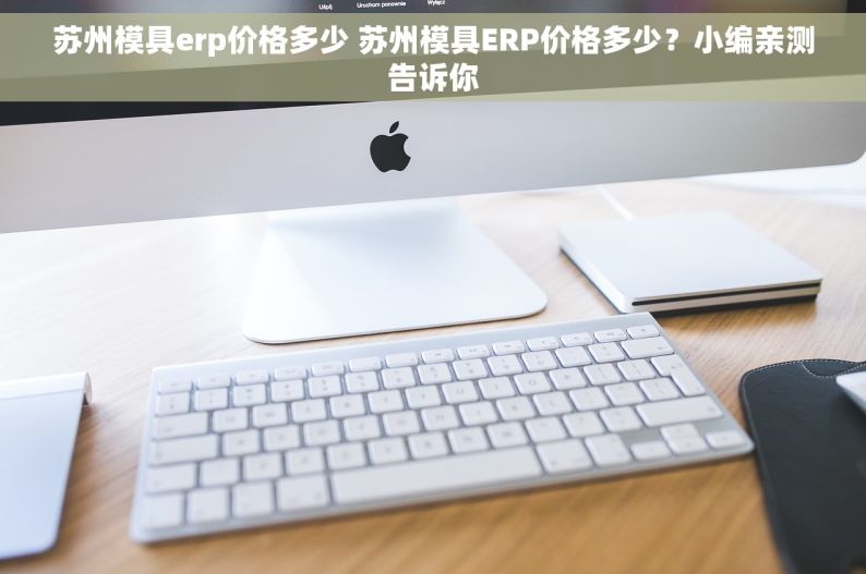 苏州模具erp价格多少 苏州模具ERP价格多少？小编亲测告诉你