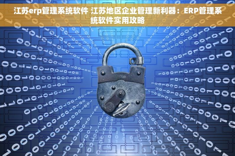 江苏erp管理系统软件 江苏地区企业管理新利器：ERP管理系统软件实用攻略