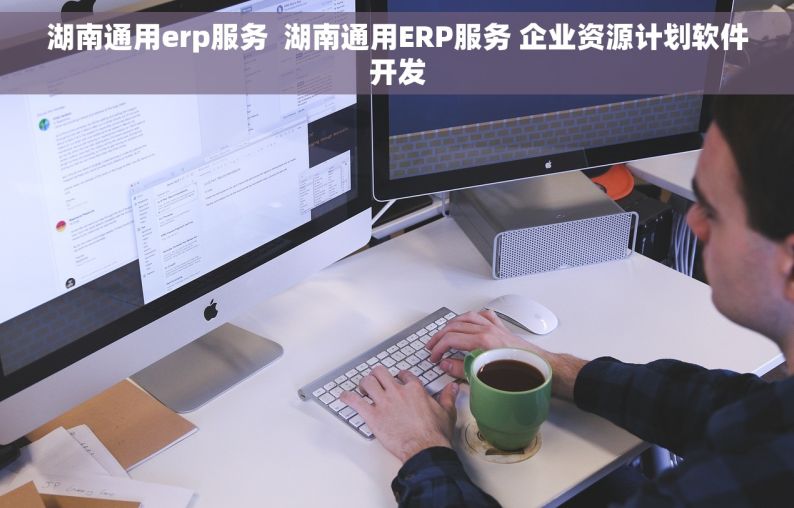 湖南通用erp服务  湖南通用ERP服务 企业资源计划软件开发