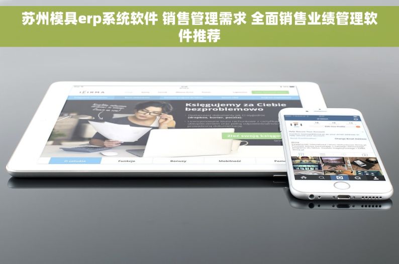 苏州模具erp系统软件 销售管理需求 全面销售业绩管理软件推荐