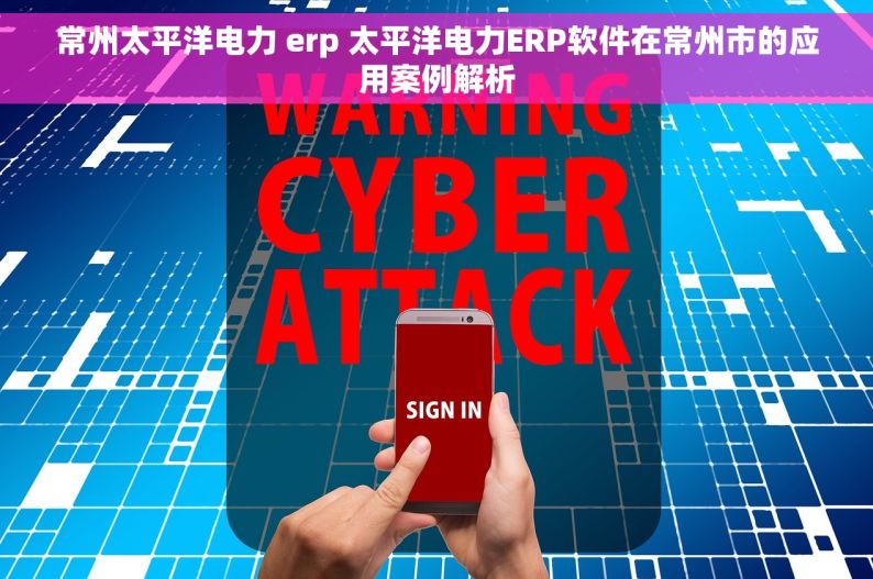 常州太平洋电力 erp 太平洋电力ERP软件在常州市的应用案例解析
