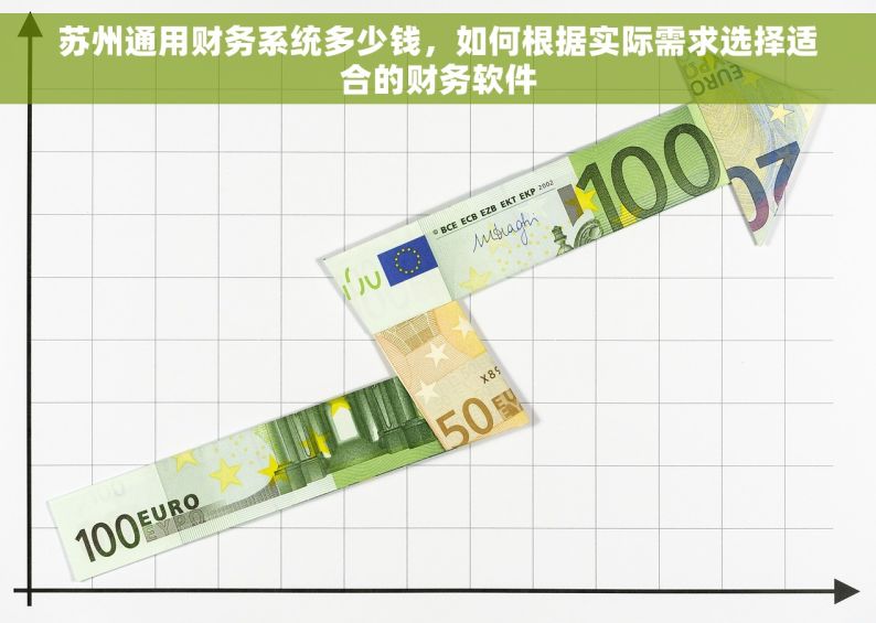 苏州通用财务系统多少钱，如何根据实际需求选择适合的财务软件