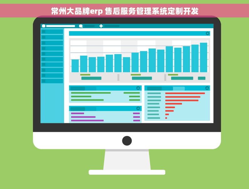 常州大品牌erp 售后服务管理系统定制开发